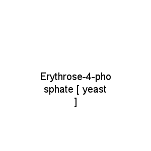Erythrose-4-phosphate [ yeast ]